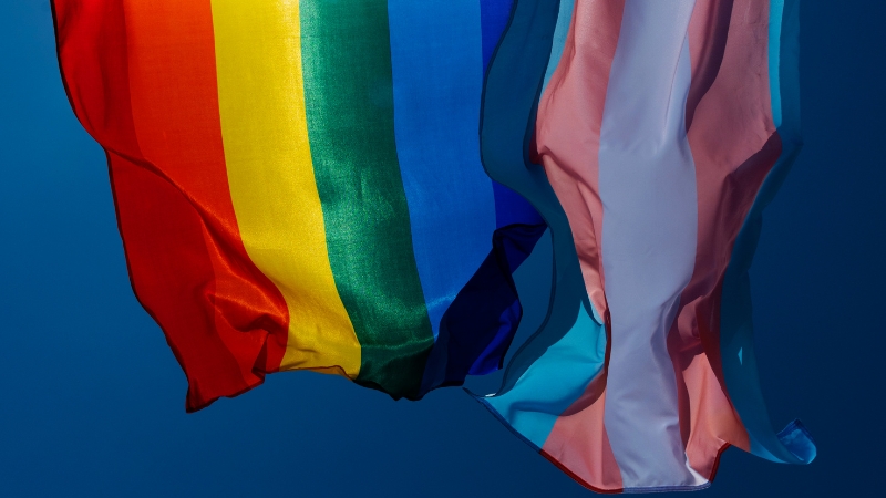 The rainbow and trans pride flags wave together in clear sky