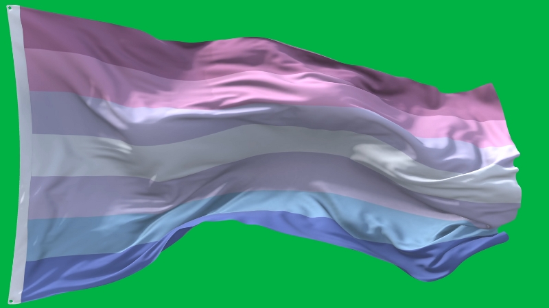A waving bigender pride flag with pink, purple, white, and blue stripes