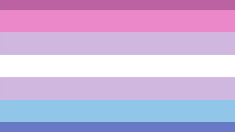 A flag with pink, purple, white, and blue stripes that represents bigender identity